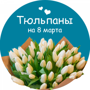 Купить тюльпаны в Шарыпово